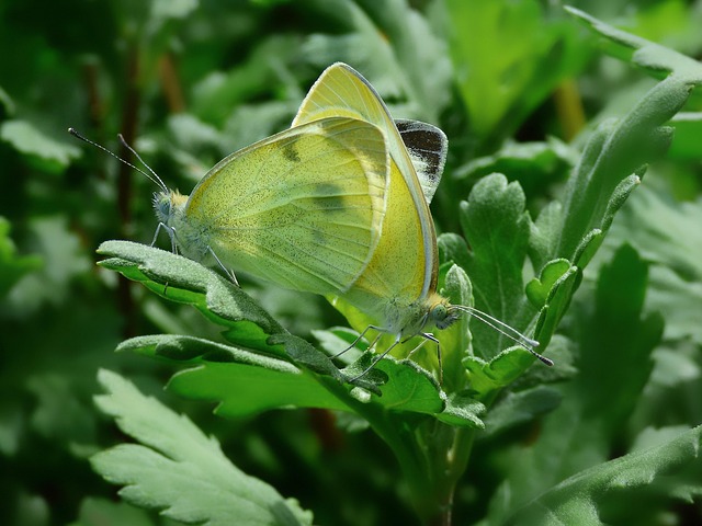 video thumbnail AirPods pairing and charging fixes Dublin